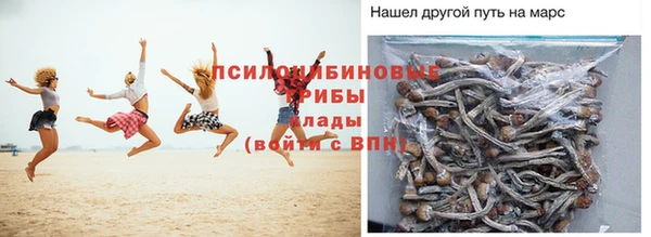 каннабис Туринск