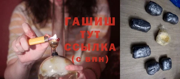 гашик Тында