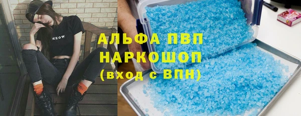 гашик Тында