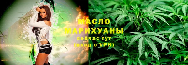 гашик Тында