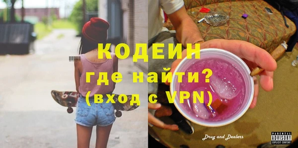 гашик Тында