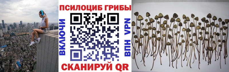 Галлюциногенные грибы мухоморы Афипский