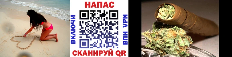 Каннабис конопля  Афипский 